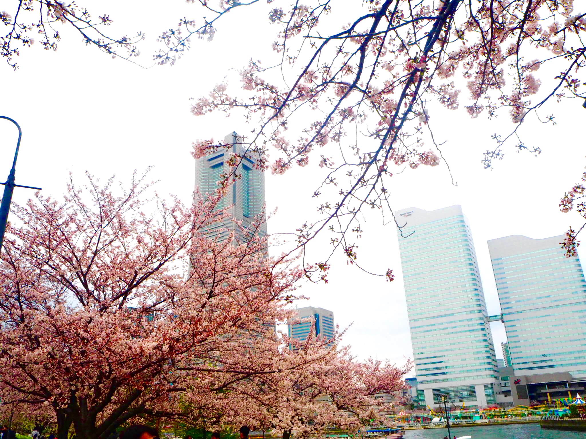 [EN] How to Enjoy Spring in Japan
