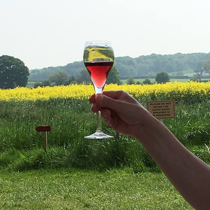 美味しくなっているイギリスワイン Hush Heath Estate & Wineryを訪ねて